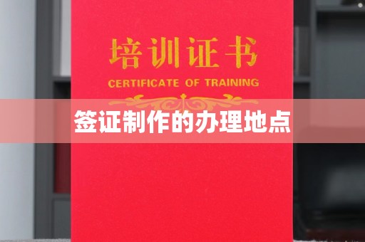 昆明签证制作的办理地点